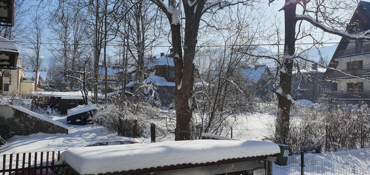 Vip Apartamenty Tytus Zakopane Buitenkant foto